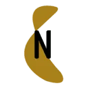 Logo Netspar