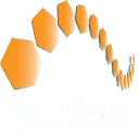 Logo FysioNesse