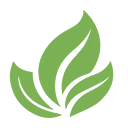 Logo Spark SEO Services