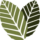Logo The European Kratom Alliance