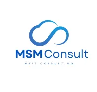 Logo MSM Consult