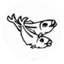Logo Vishandel Schot-van Dijke