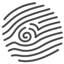 Logo the Rewild Company