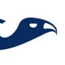 Logo van De Gier Geveltechniek