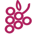 Logo Fruticos