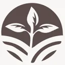 Logo Mindpiece
