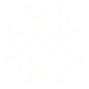 Logo Lilly Pilly