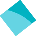 Logo Stichting Dravetsyndroom Nederland/Vlaanderen