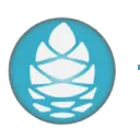 Logo Active Health Foundation