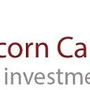 Logo Capricorn Capital Group