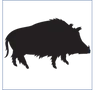 Logo Wild van Wild