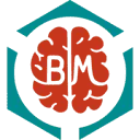 Logo van Brainmatters_nl