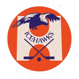 Logo Eindhoven Icehawks
