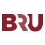 Logo BRU Incasso AND Gerechtsdeurwaarders