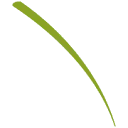 Logo Deltalp
