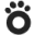 Logo Poopy